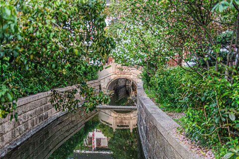 Reflections in the ornamental river
