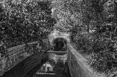 Same shot in mono - which do you prefer?