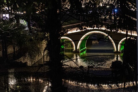 Shot into the adjacent park from the hotel room balcony